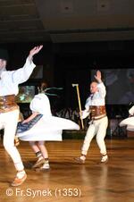 Národní krojový ples