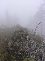 Stavba zídek pro chráněné živočichy na Lysé Hoře v Beskydech