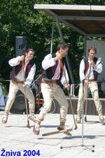 Ostravica, soubor lidových písní a tanců