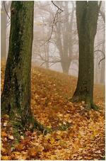 Fotoklub Příbor, Přátelé výtvarné fotografie