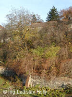 Tovačov, Zámek - hradby